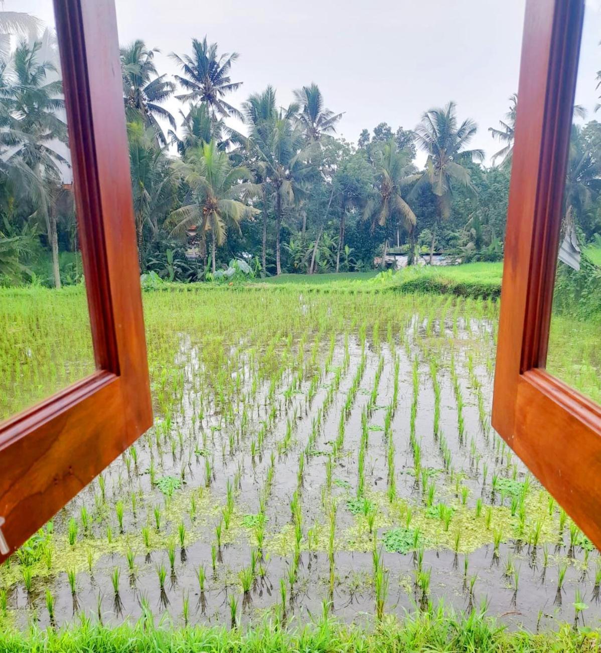 As I Am Ubud Retreat Chambre photo