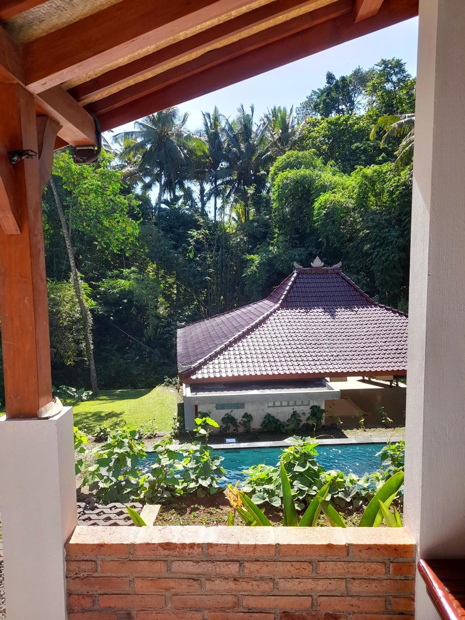 As I Am Ubud Retreat Extérieur photo